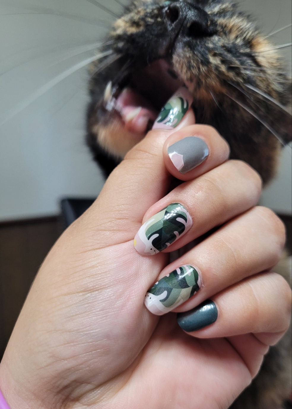 Purrs & Plants