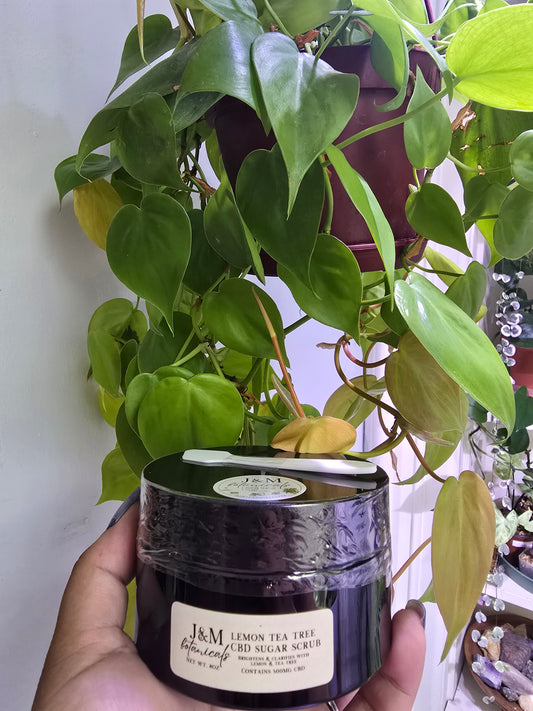 A black 8oz container with a lemon tea tree CBD sugar scrub in it. The background shows houseplants.