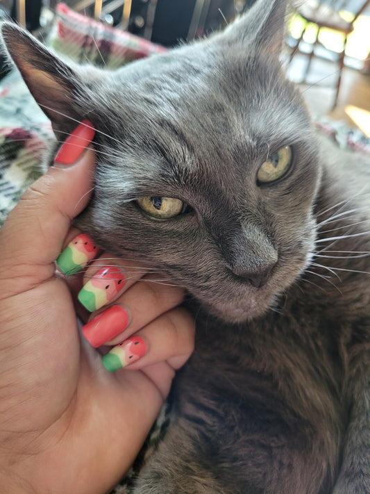 Watermelon Delight - Matte