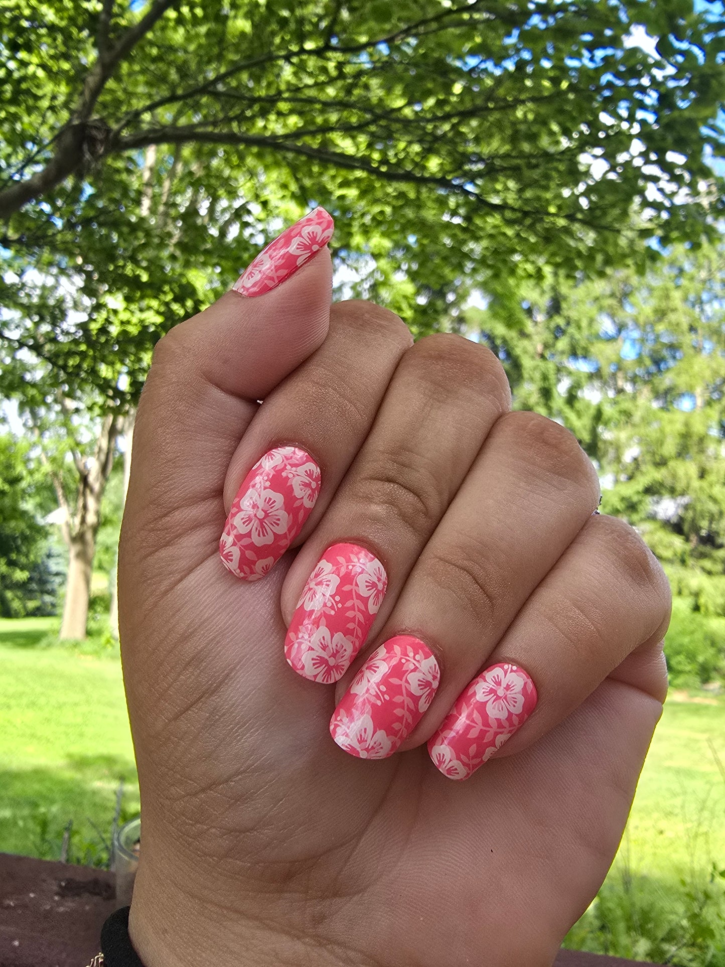 Hawaiian Hibiscus